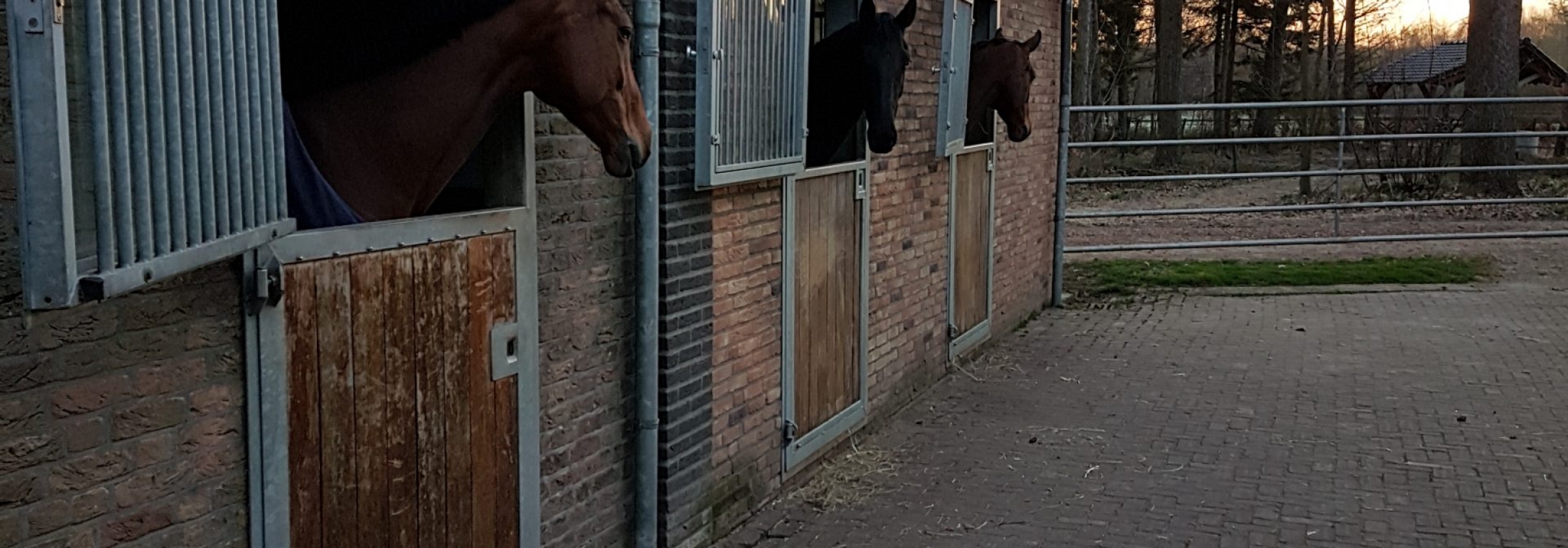 20190401_stalviertel-zijaanzicht