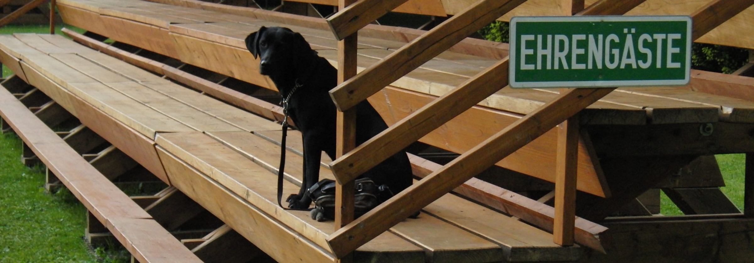 20190615 Deuntje op de eretribune